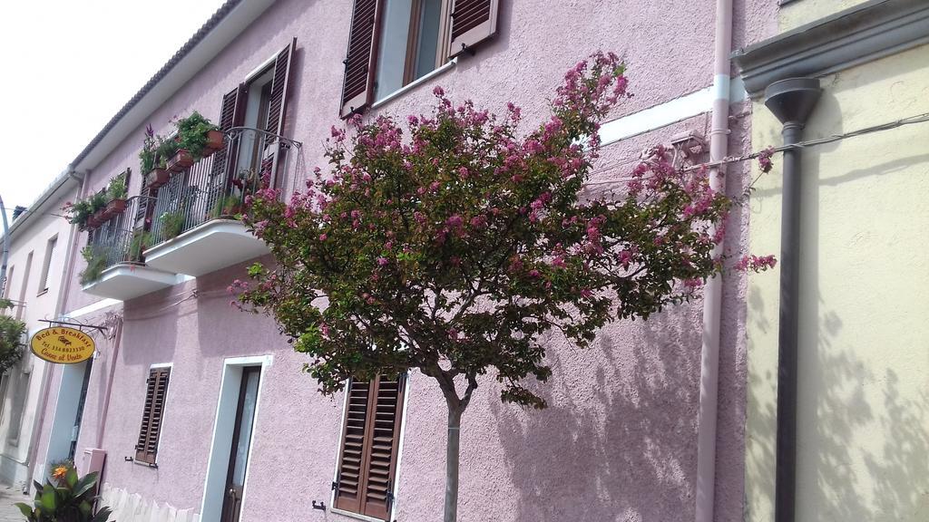 Canne Al Vento Teulada Extérieur photo
